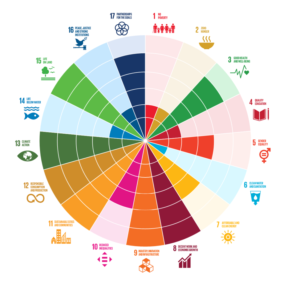 SDGs_SCSS_infographic2-high-1024x1024.pn